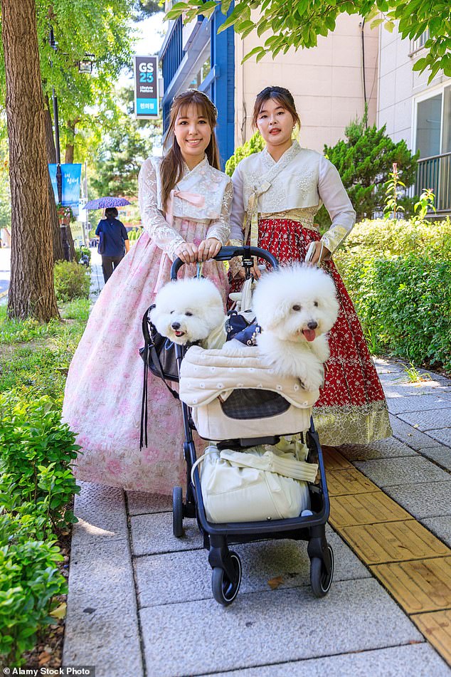 Mother of all gender wars